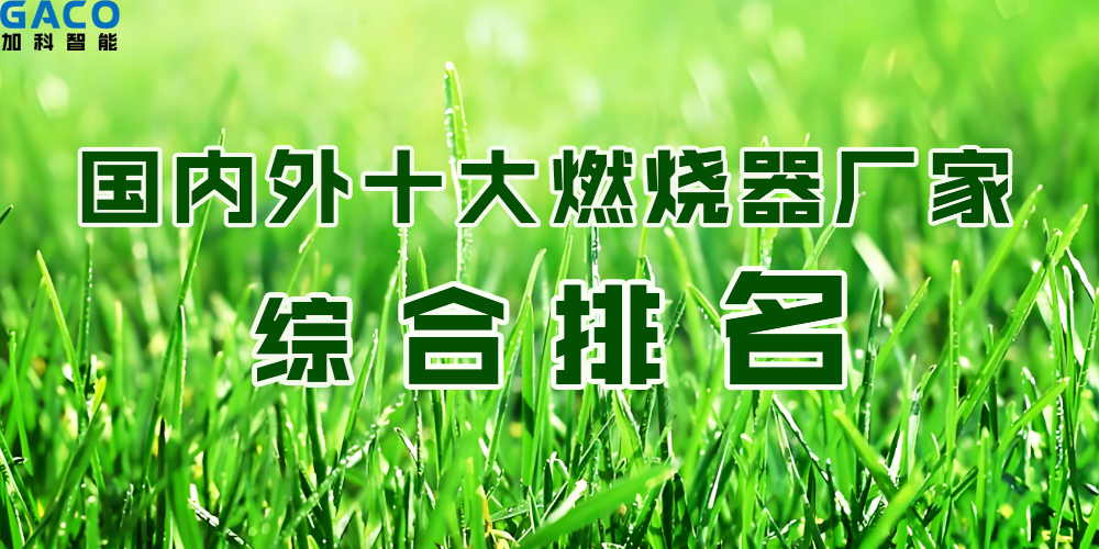 国内外十大燃烧器厂家综合排名